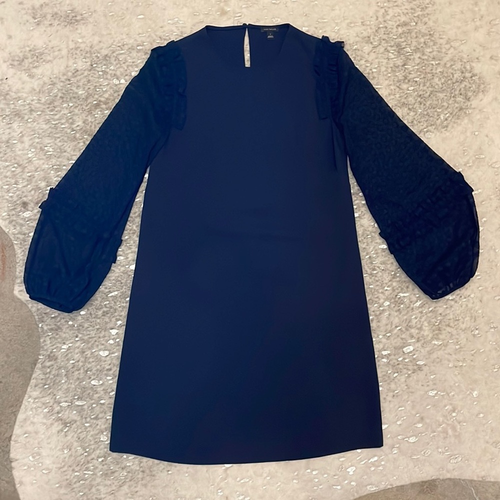 Ann Taylor Navy Ruffle Sleeve Dress
